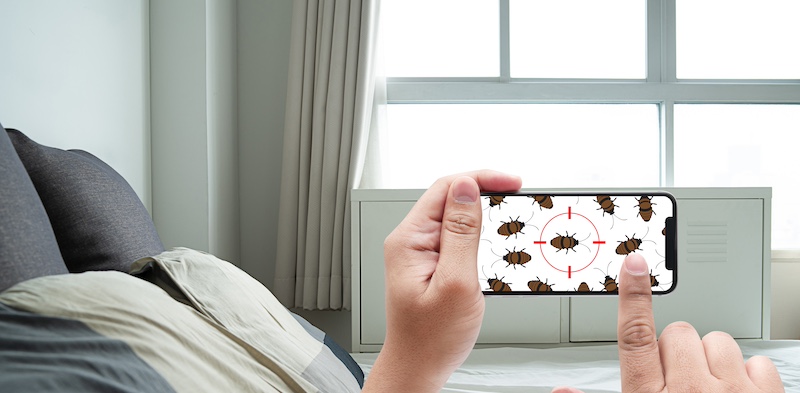 IoT Detects Bedbugs in Hotels